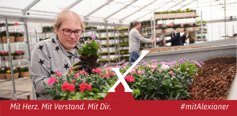 Mitarbeiter (m/w/d) Floristik und Verkauf, 1. Bild